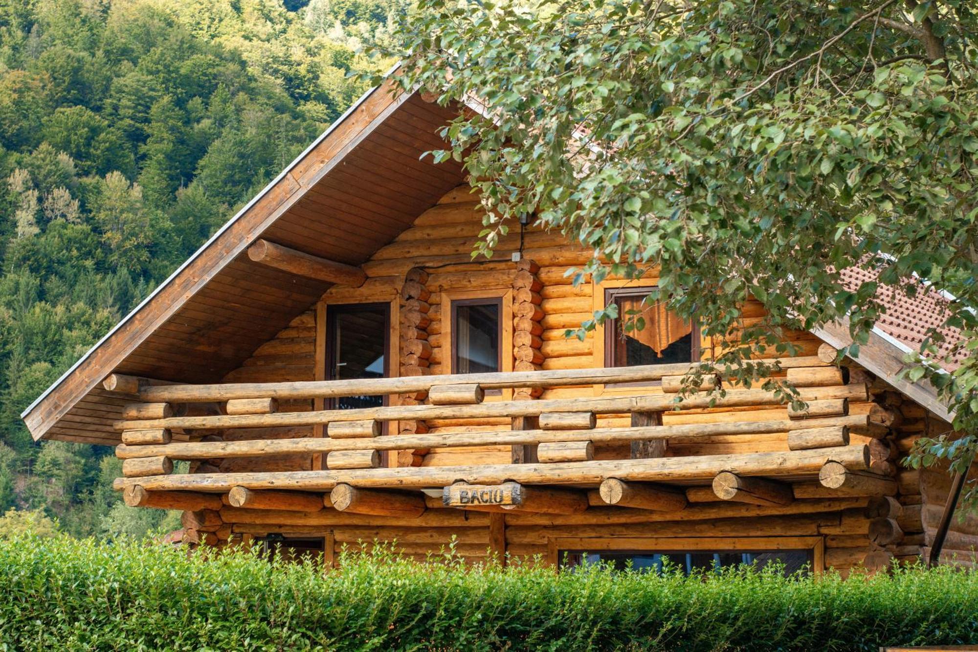 Resort 7 Crai - Cabana Baciu Zărneşti Exteriér fotografie